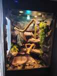 Rezerwacka 26.08. Terrarium z wyposażeniem, agama, legwan, 139x89x65.