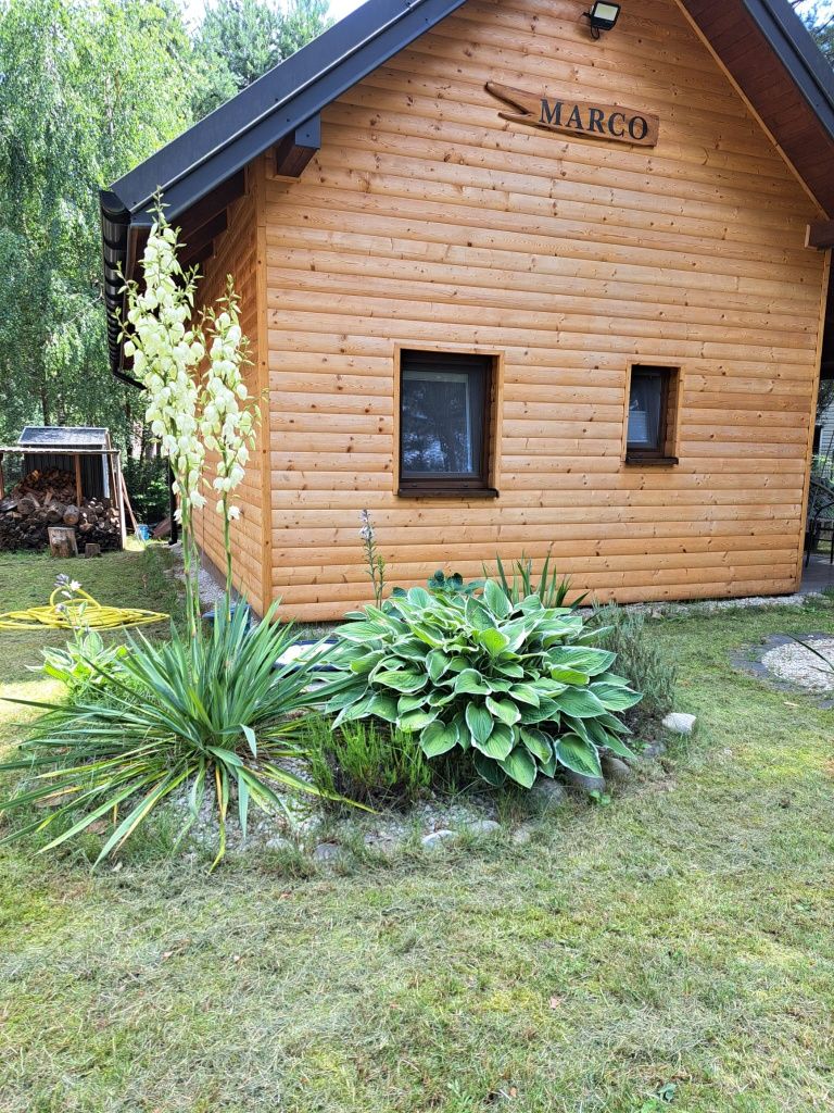 Domek MARCO do wynajęcia nad zalewem Chańcza Raków