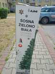Choinka sztuczna 180 cm