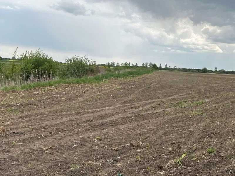 Земельна ділянка (1.2799 га) - с.Нова Кам'янка Львівська обл.