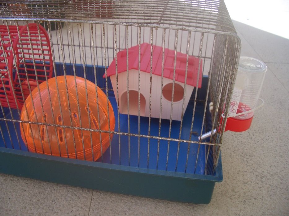 Gaiola e acessórios para Hamster