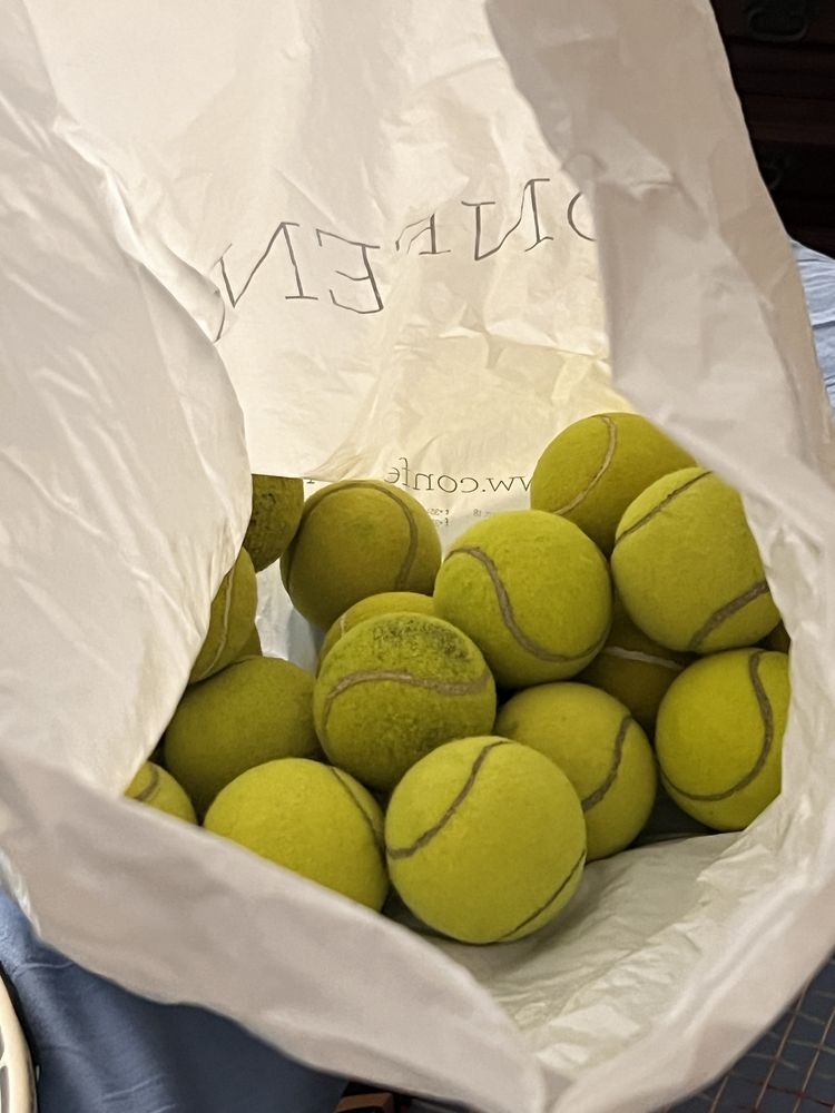 Bolsa com raquetes de tenis