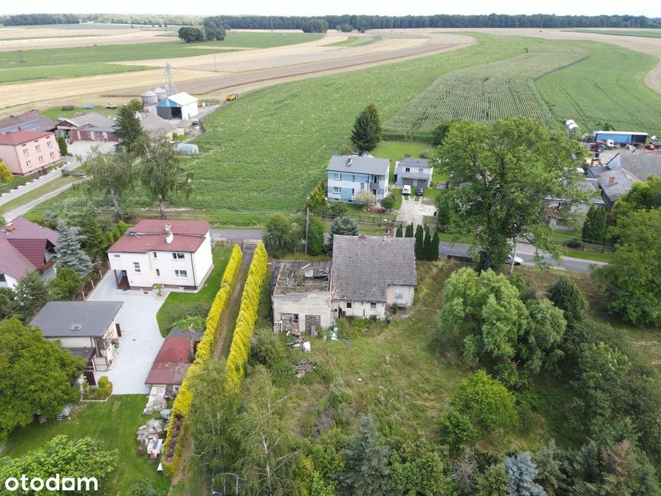 Dom, Studzionka