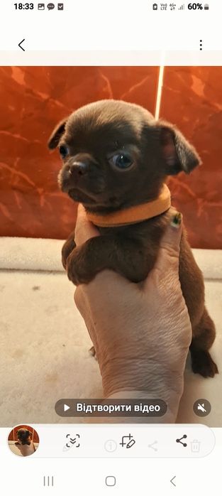 Гарнюня дівчинка.