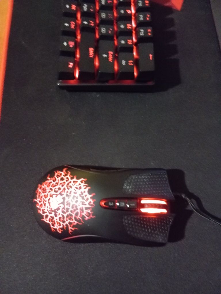 Myszka bloody a90