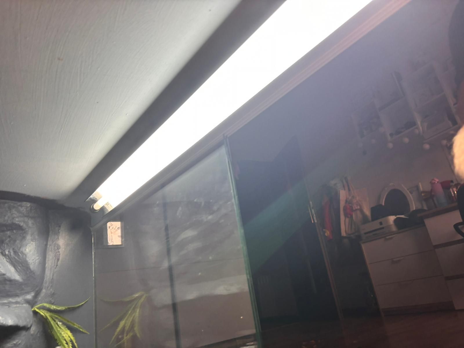 Terarium dla Agamy Brodatej