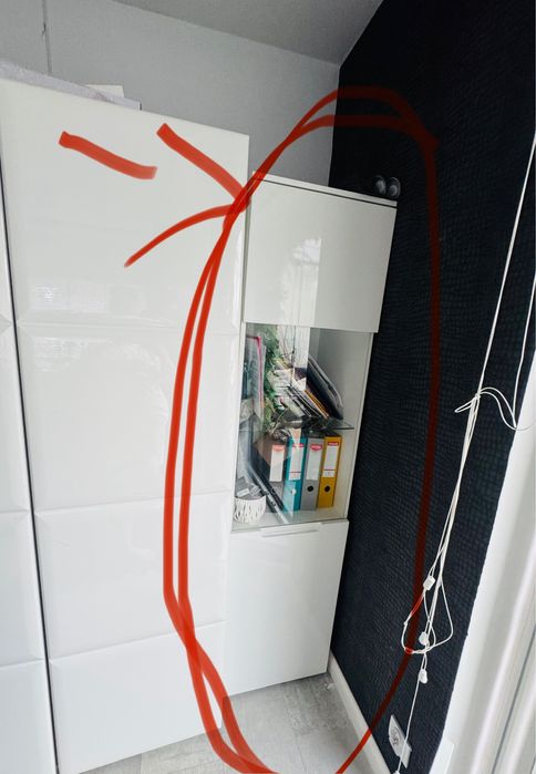 Wittyna biala wysiki połysk