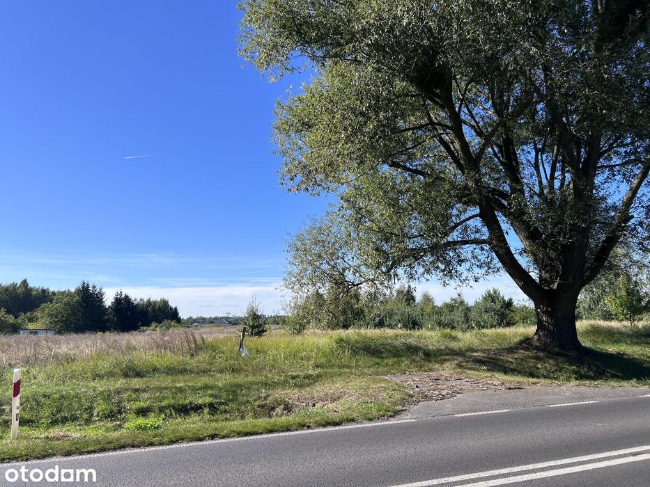 Działka z potencjałem ! Blisko miasta, natury i wygodnego dojazdu !