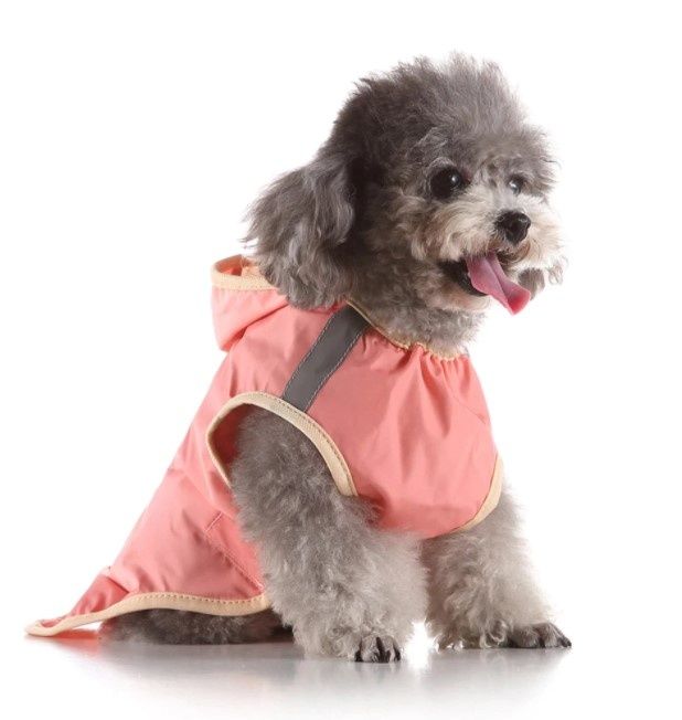 Capa impermeável cão
