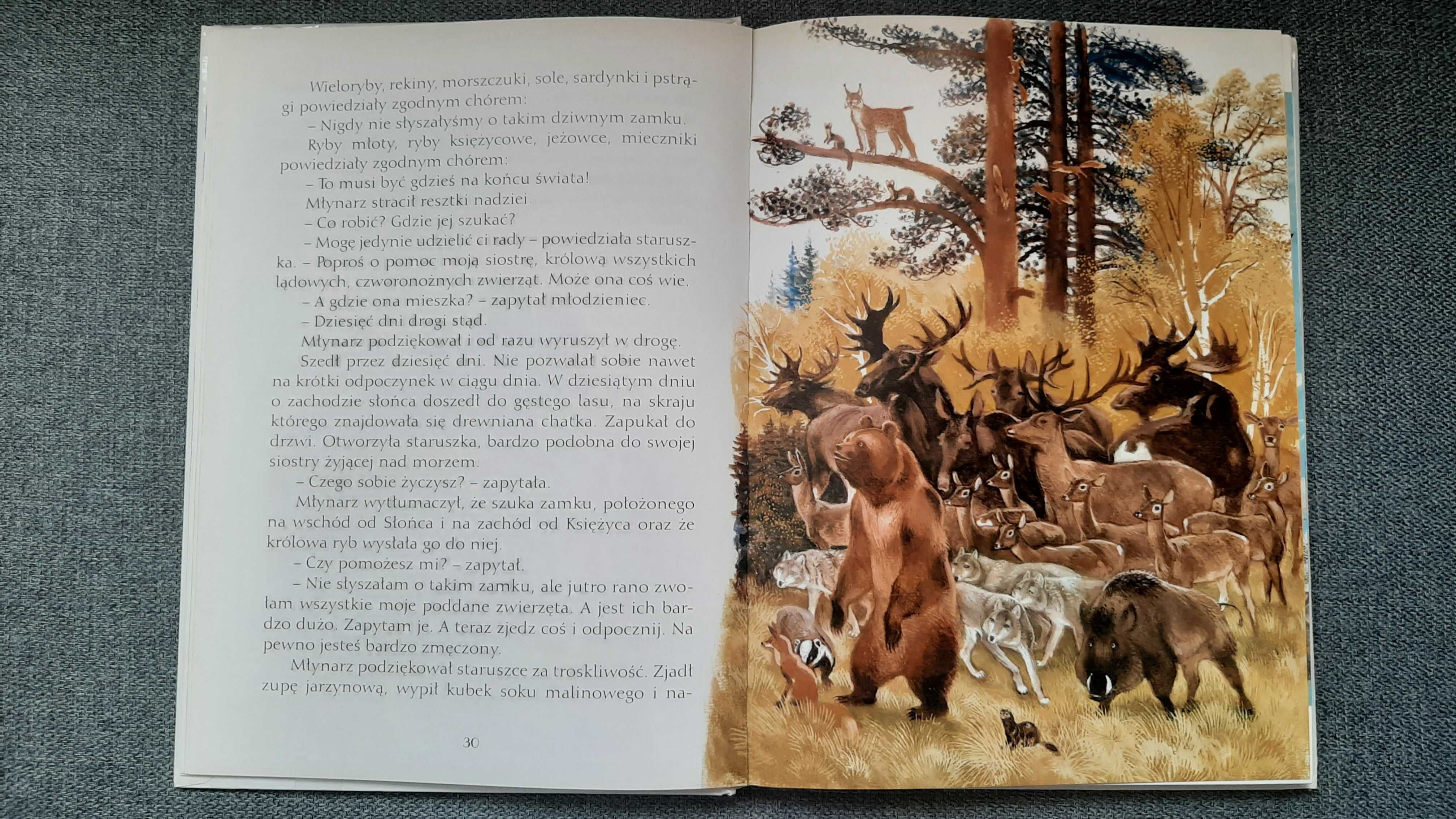 Najpiękniejsze baśnie Europy fińskie niemieckie ros il Nikołai Ustinov