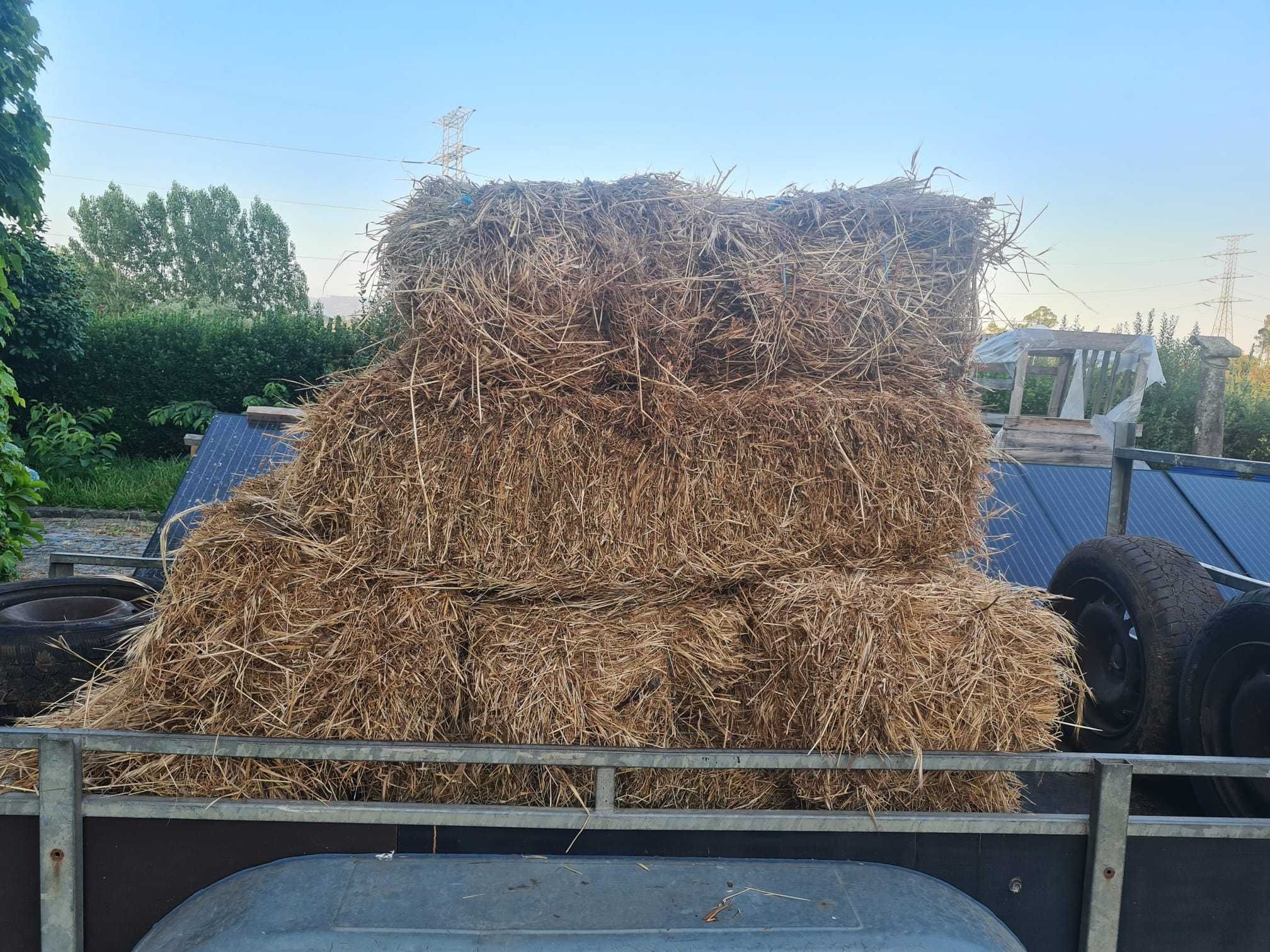 Fardos de Feno para uso na agricultura