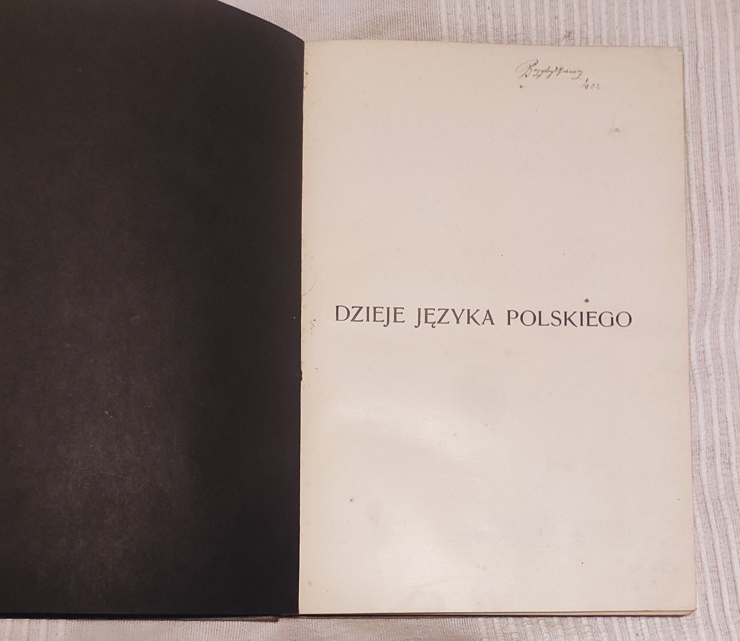 Aleksander Brückner Dzieje Języka Polskiego - Anczyc 1913 Kraków