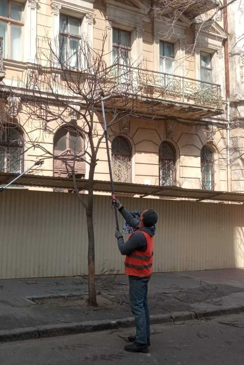 Большой опыт.Спилим обрежем деревья с вывозом веток,работа под ключ.