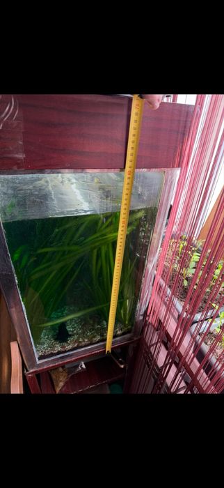 Продам акваріум самовивіз