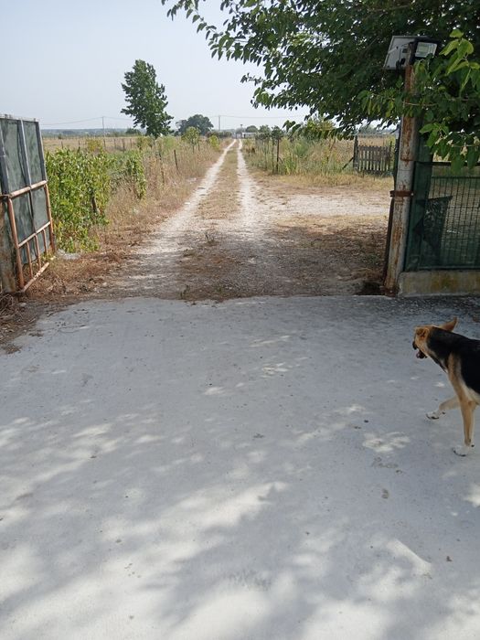 Vendo terreno rústico