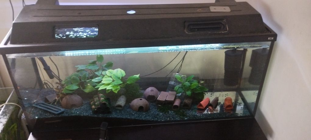 Akwarium 240 l z pokrywą