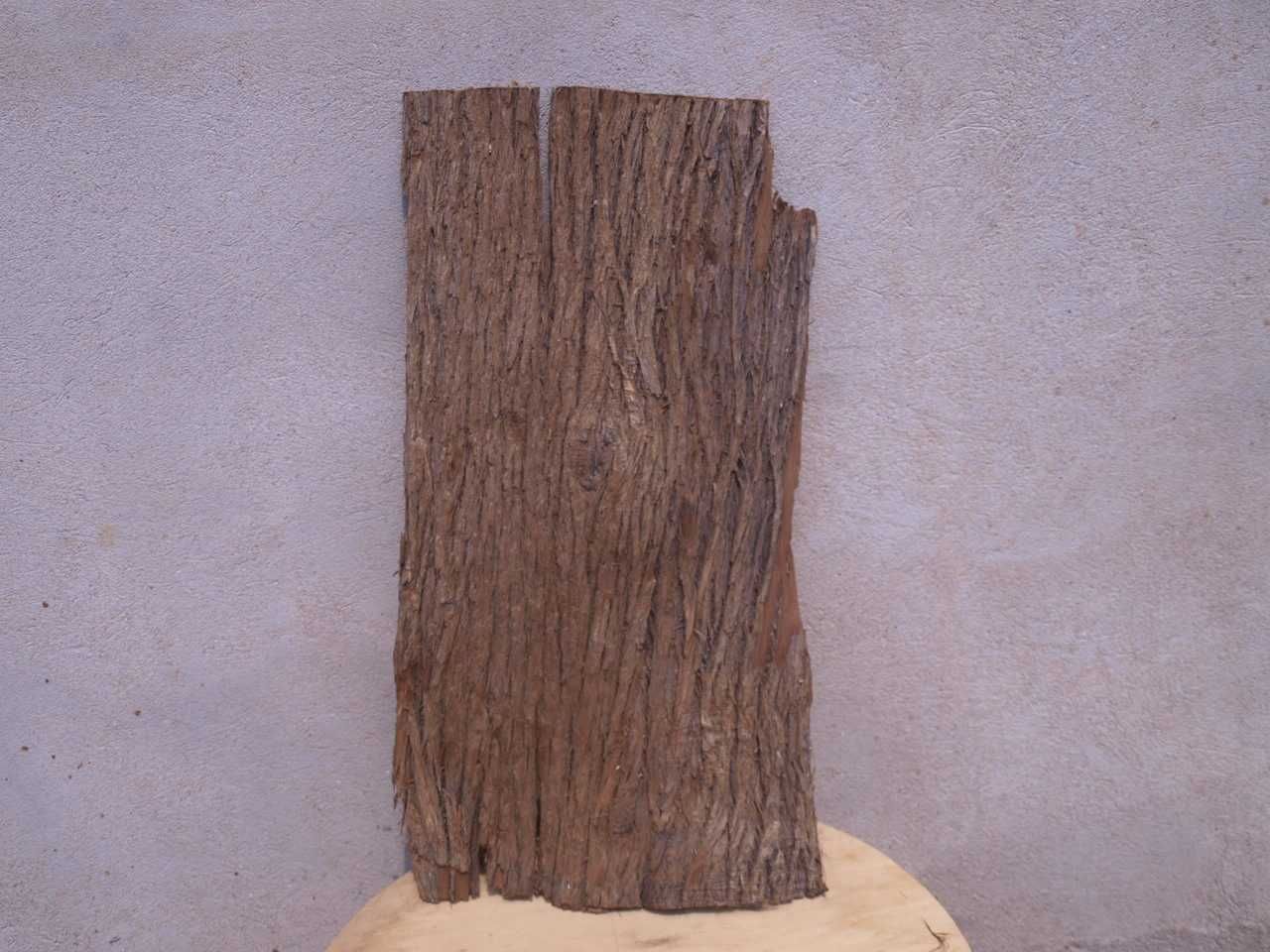 кора для тераріуму