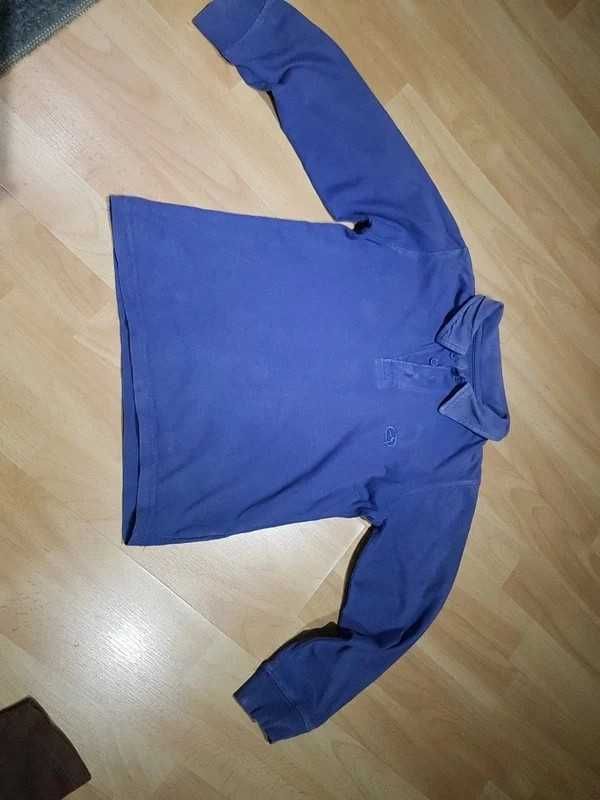 Camisola Castanho e Polo Azul