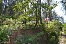 Terreno - Caires