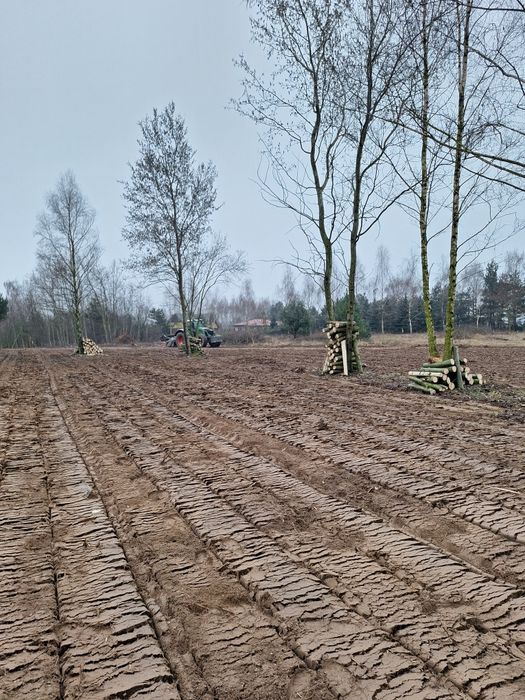Wycinka mulczowanie karczowanie mulczer leśny mulczowanie rębak