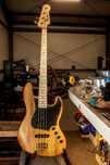 POLARUM JBass Exotic 18V 1 custom build