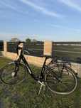 Rower elektryczny CURTIS EBIKE