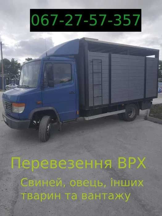 Послуги по перевезенню, перевезення врх