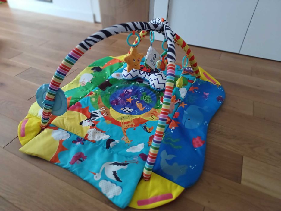 Mata edukacyjna LIONELO ANIKA