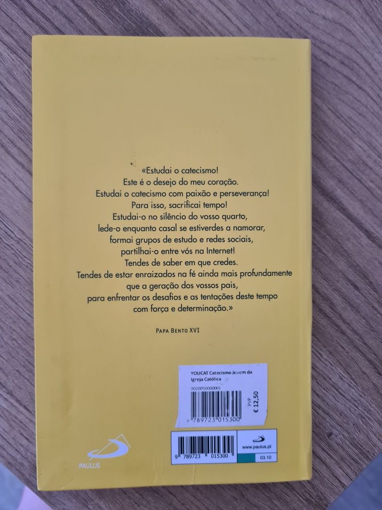 Livro YouCat ( catecismo)