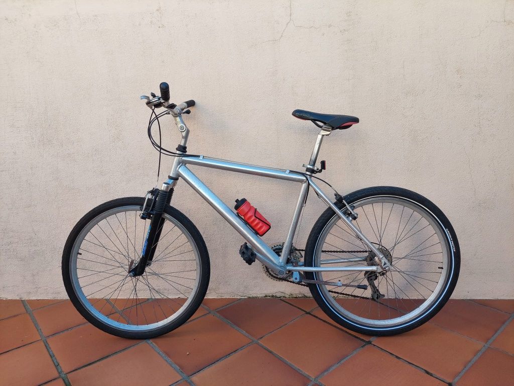 Bicicleta de Adulto