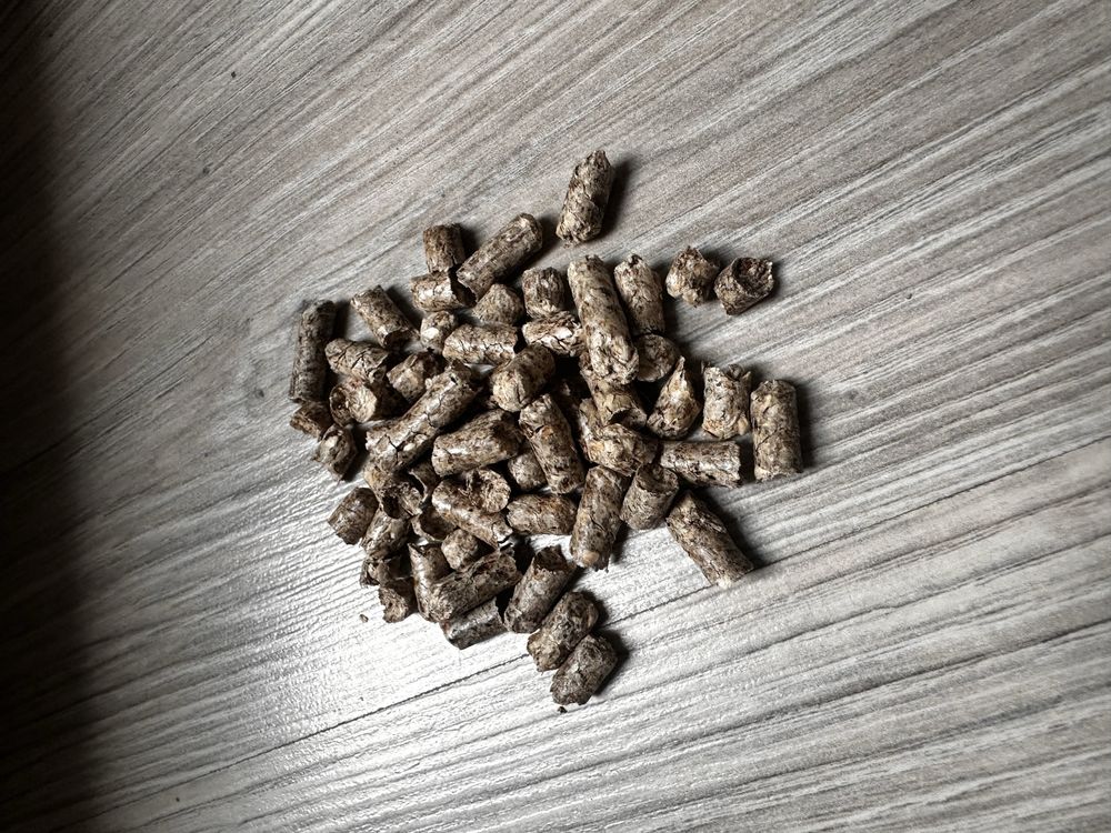 Żwirek dla kota lub chomika 15kg żwirek drewniany leśny 40 l