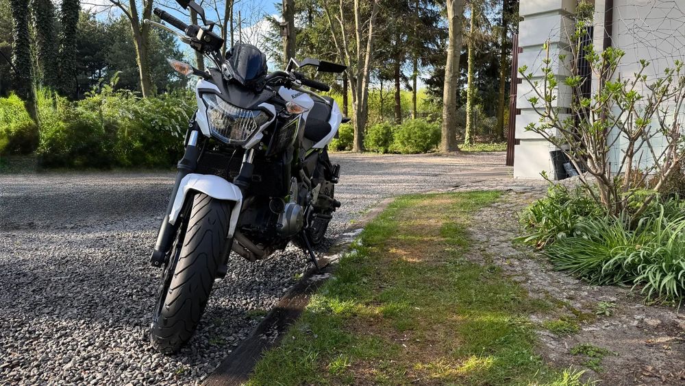 Kawasaki Z 650 Kawasaki Z650 2017 A2 50kW ABS