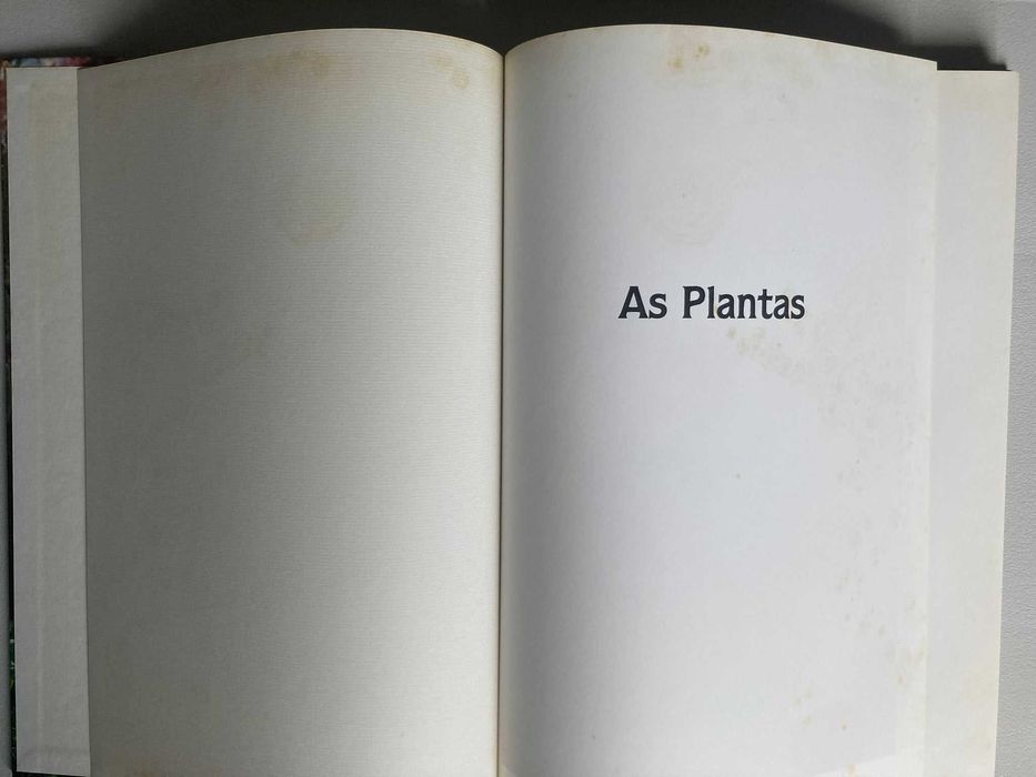 As Plantas: o génio da natureza