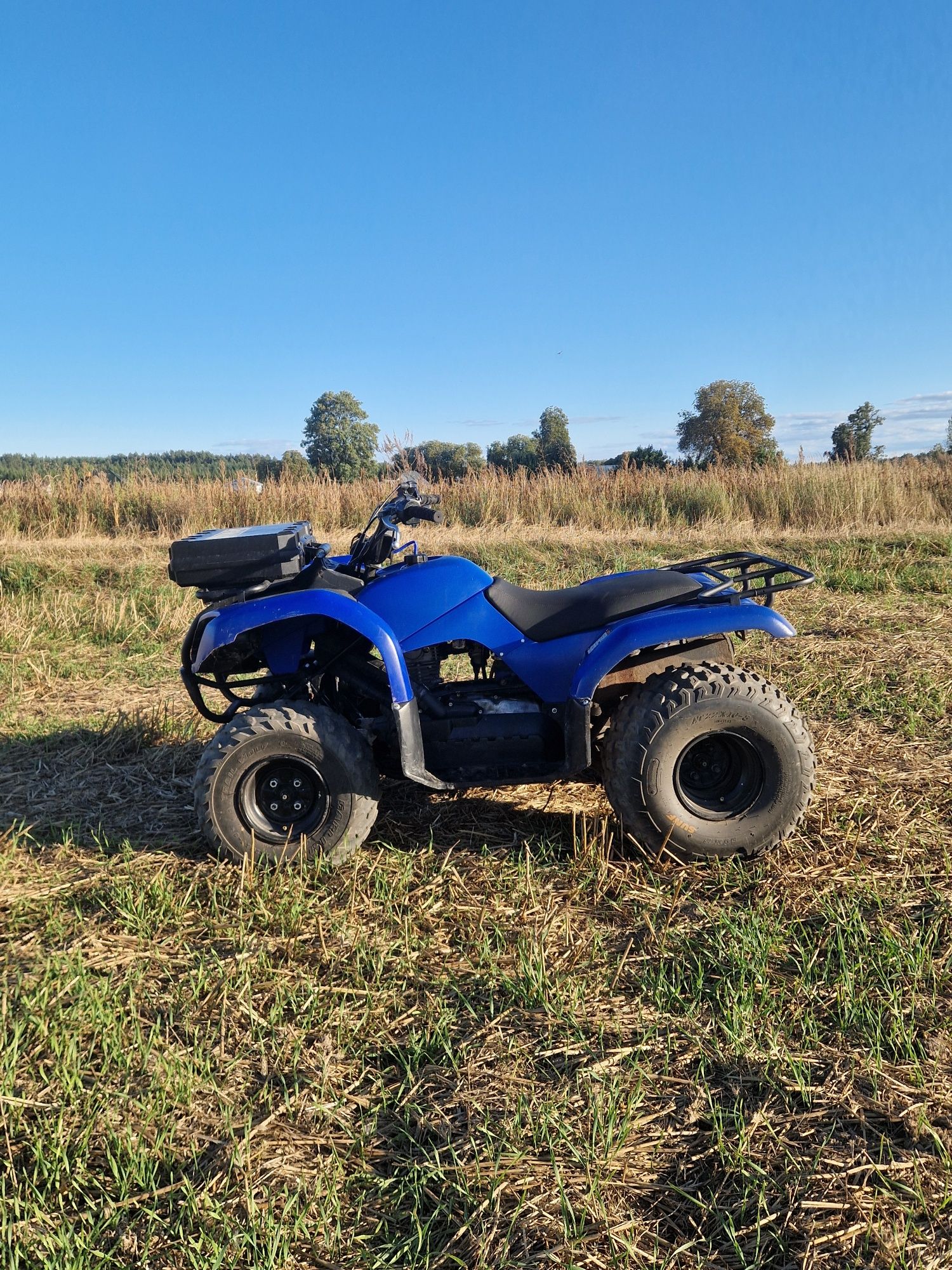 Quad yamaha grizzly 125