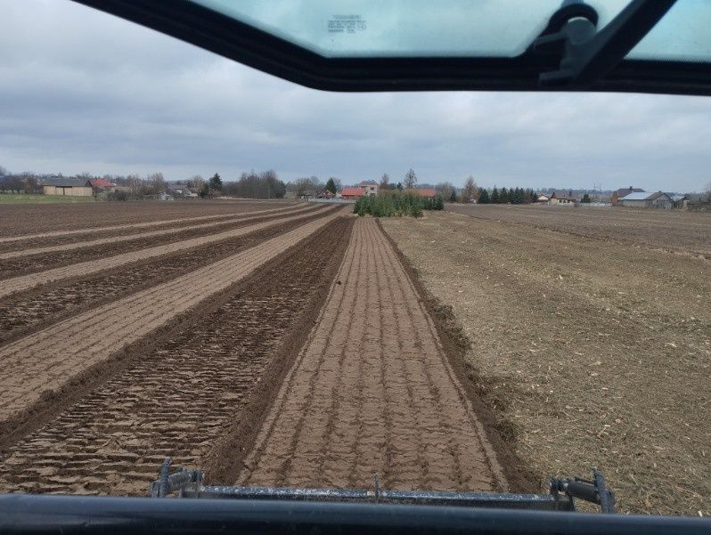 Tanio,wycena gratis.Wycinka drzew trudnych,uslugi mulczerem  wgłębnym,