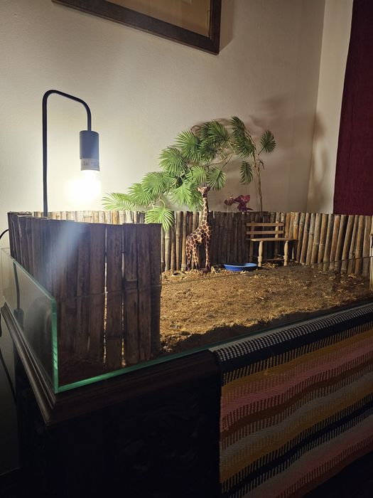 Terrario para animais