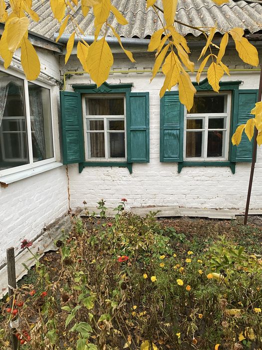 Будинок, асфальт, газ, інтернет