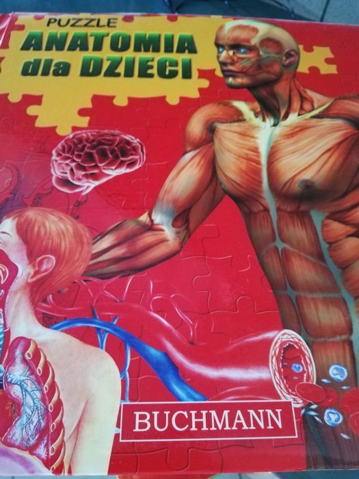 Anatomia dla dzieci