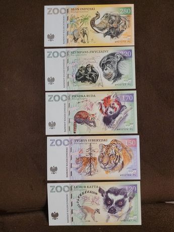 Banknoty kolekcjonerskie Zoo Wrocław ZOOLAR bony Matej Gabris
