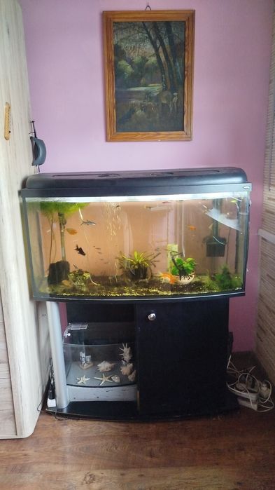 Sprzedam akwarium 180/200 l