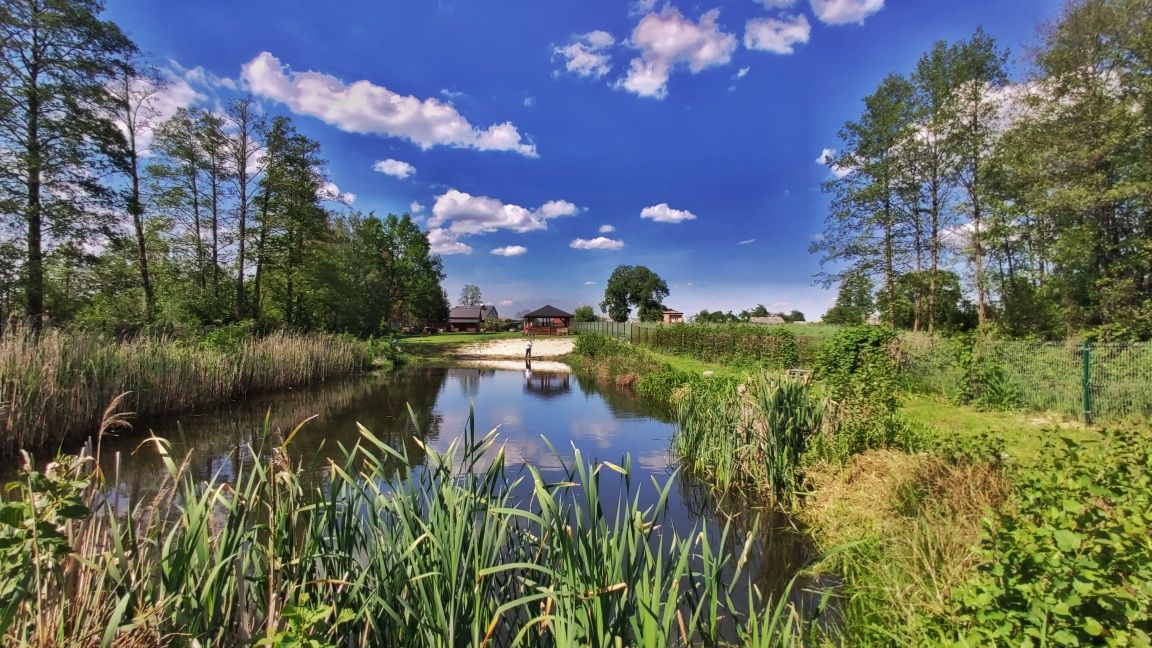 wynajmę DOMEK LETNISKOWY nad jeziorem