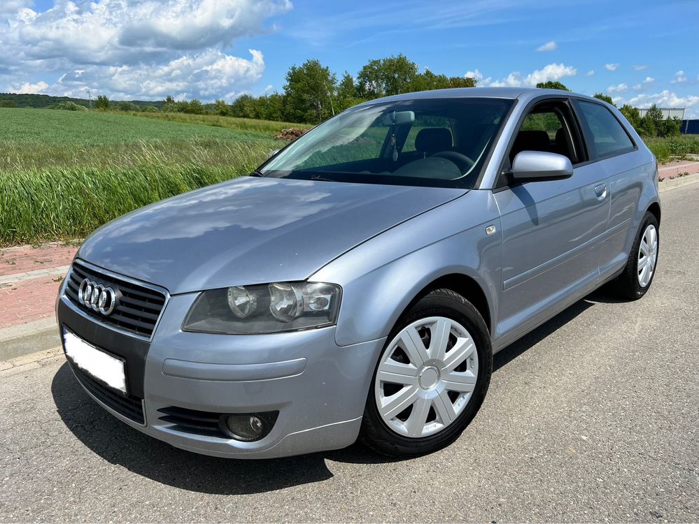 Audi A3 8P 1.9TDi 105km Zadbana