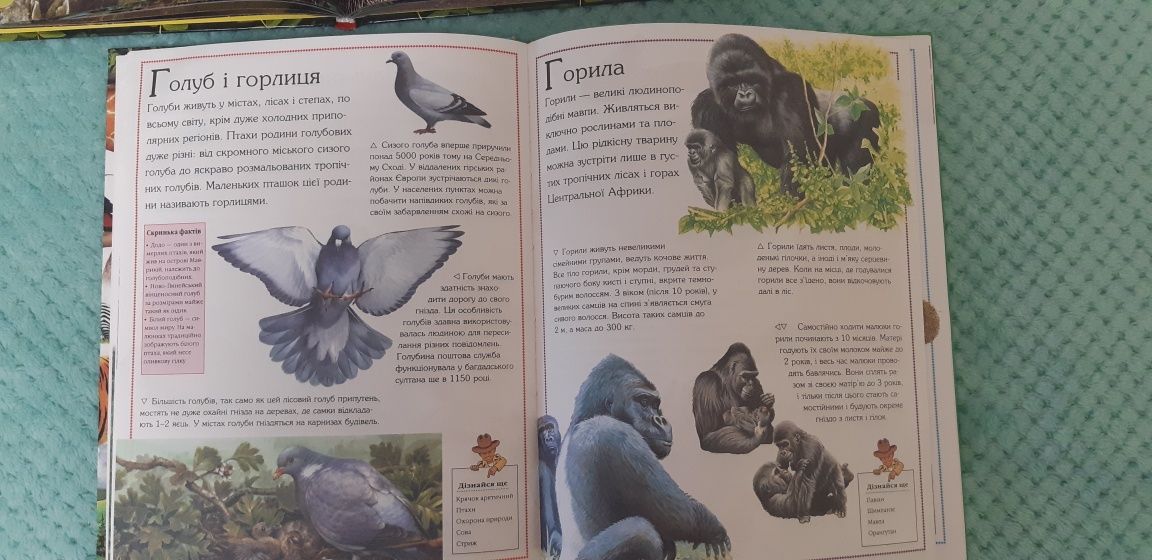 Книги детские в твёрдом переплете