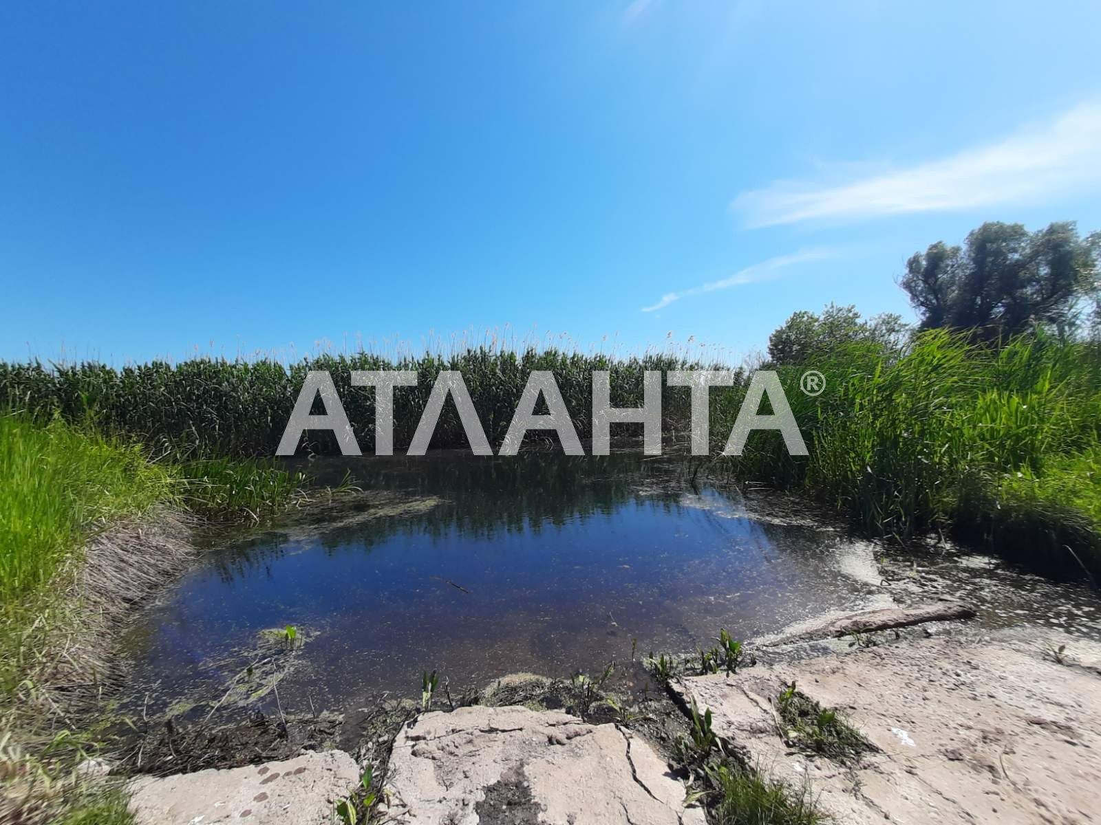 Продажа дома в Беляевке