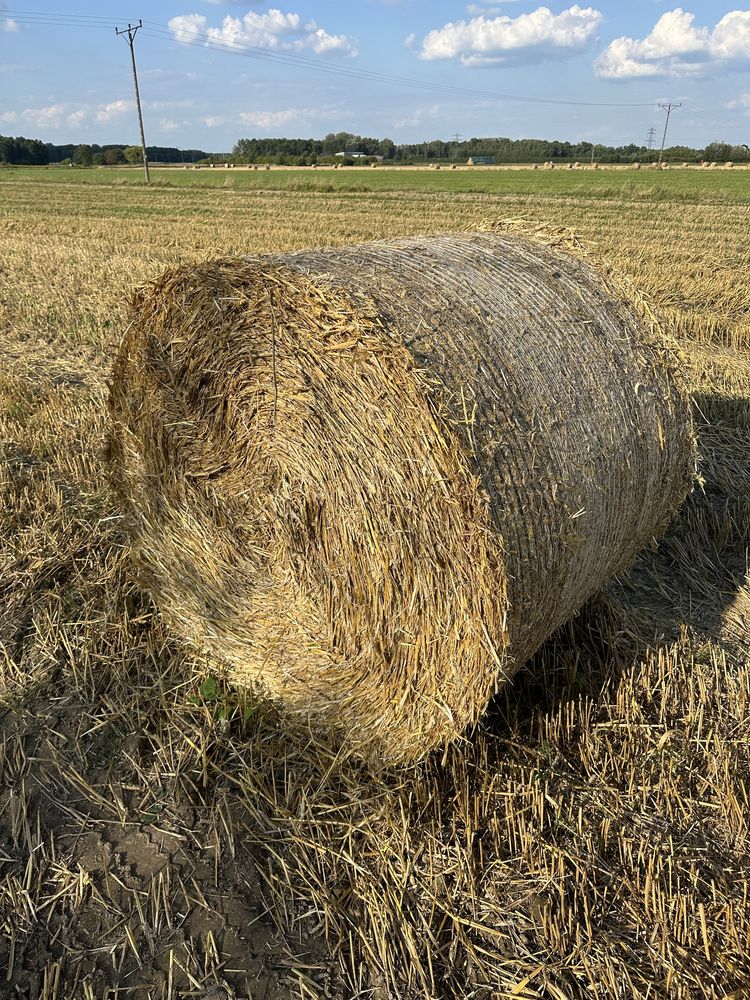 Sloma  Bela Bele do truskawek Żytnia  bez chwastów