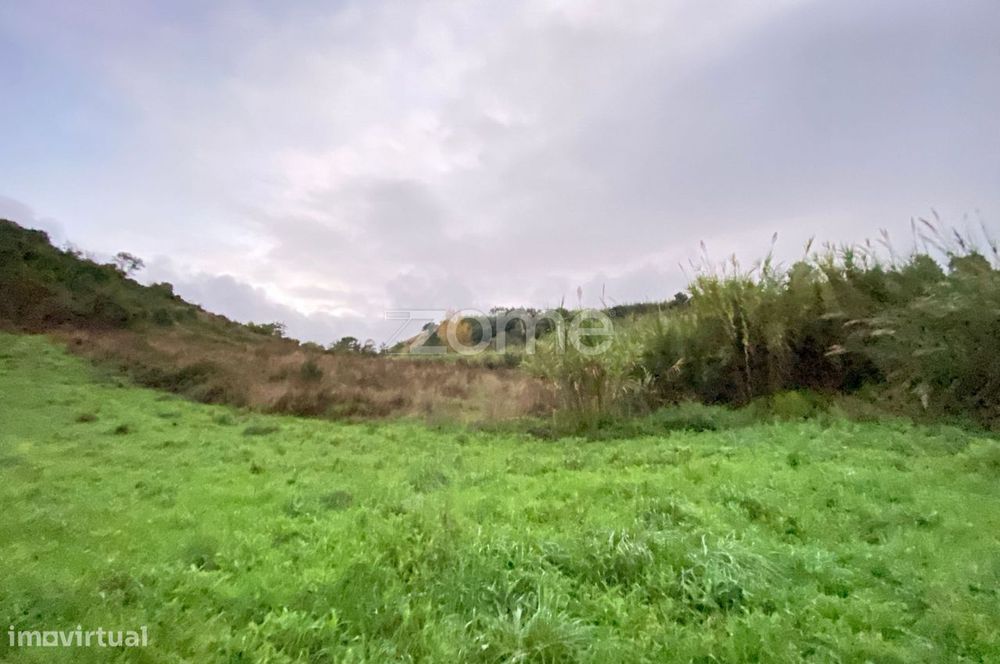 Terreno Rústico com 8.240m2 em Torres Vedras