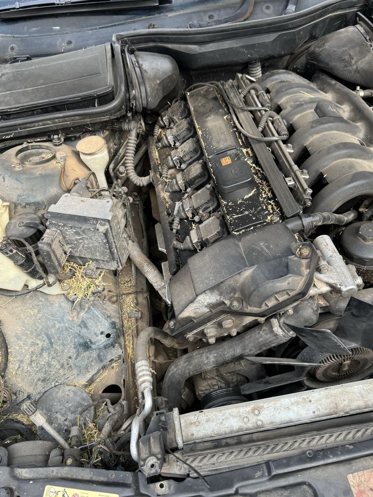 BMW e39 523i swap 528i manual