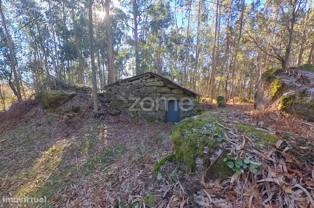 Terreno com Corte de Chão de Castro*