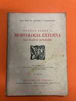Noções sobre a morfologia externa das plantas superiores