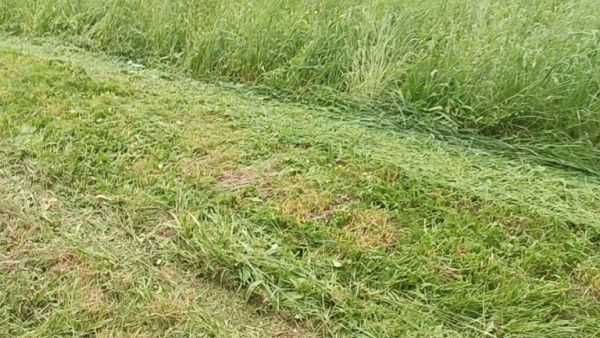 kosiarka rozdrabniacz mulczer do trawy spalinowy 120 cm atv quad